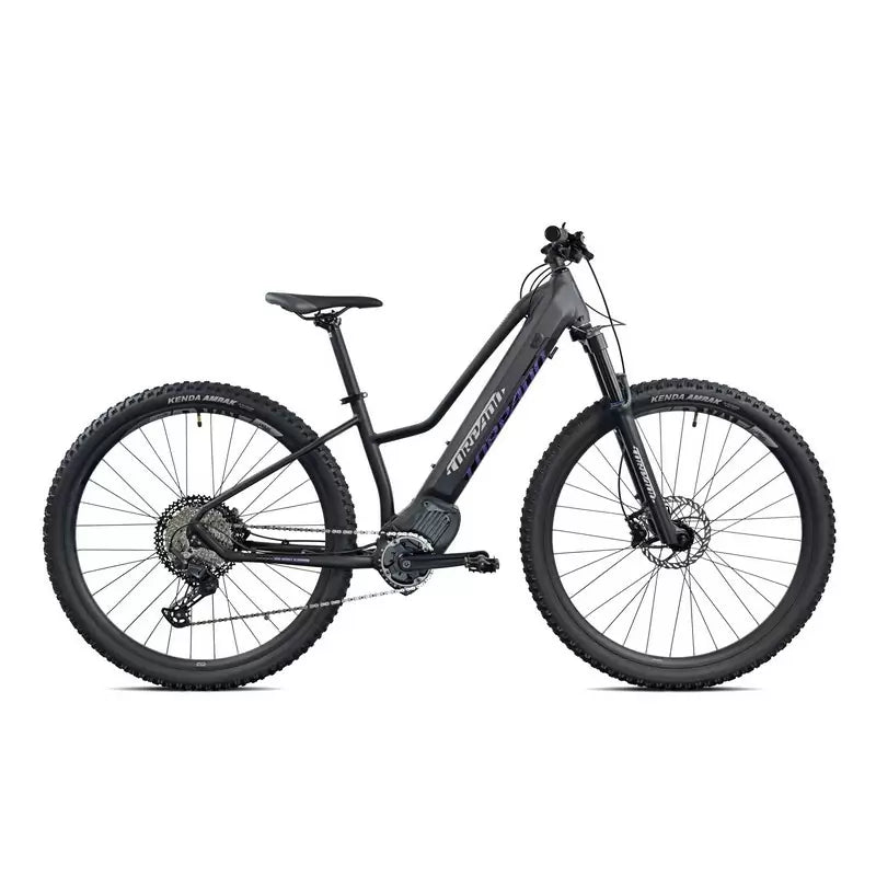Torpado Ares 29'' 9v Öl
