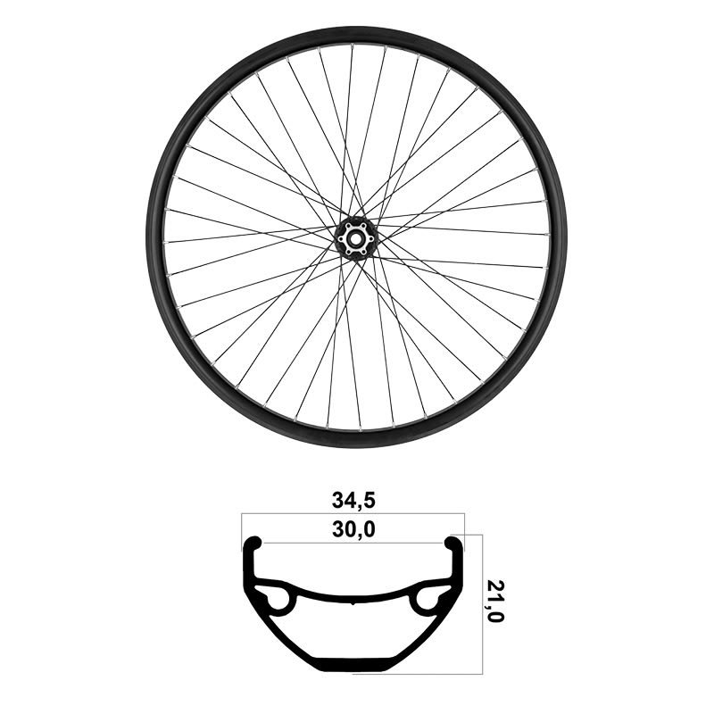 Rueda Delantera 29" ancho int 30mm MTB TLR Rodamientos Eje Pasante Disco