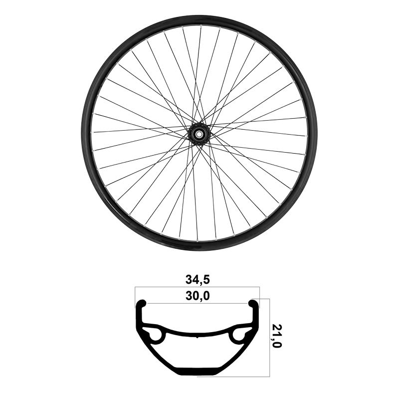 Rueda Trasera 29" 30mm MTB TLR Shimano Rodamientos 10/11/12V Disco