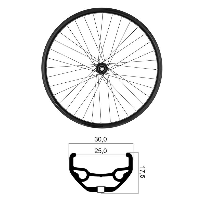 Rueda Trasera 29" x 25mm MTB Tubeless Ready Shimano 10/11/12V Disco