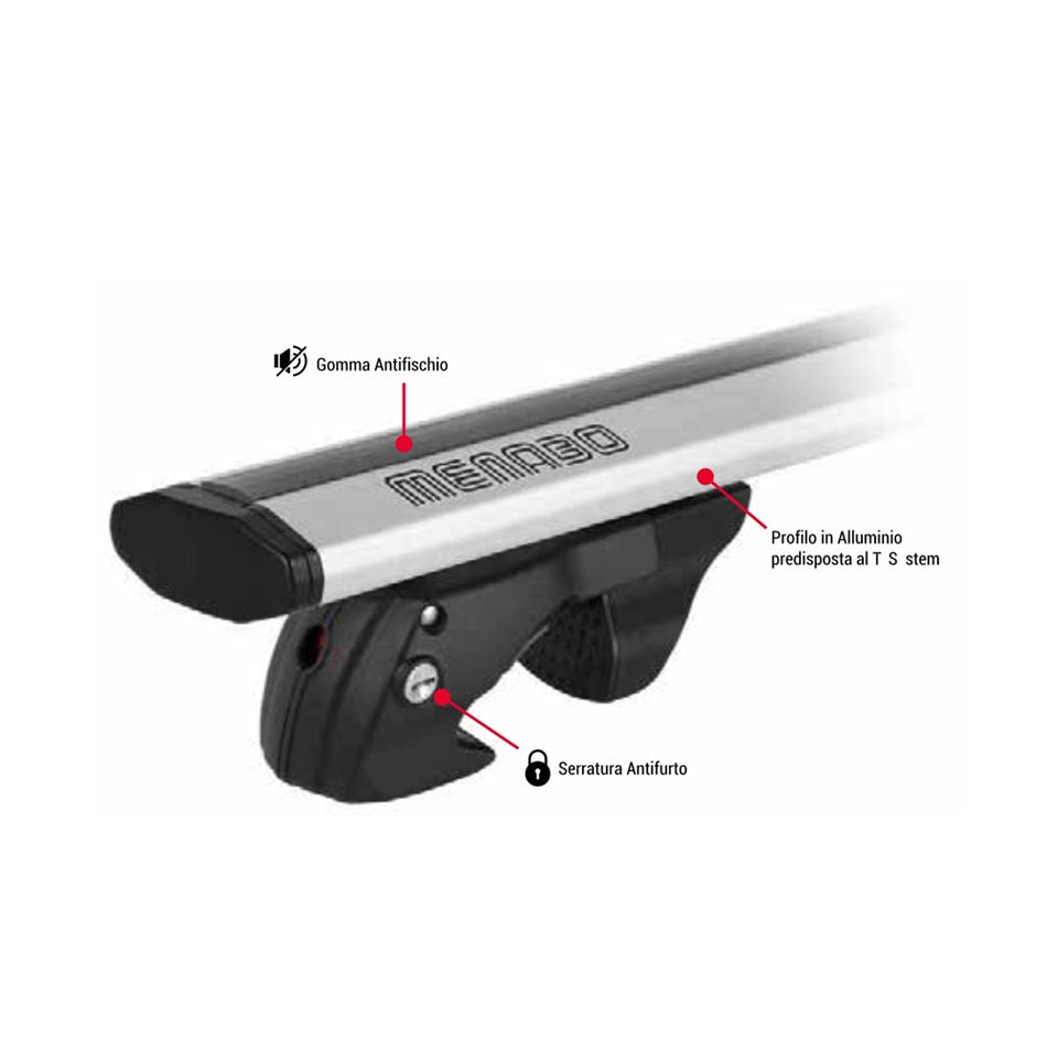 Komplette Stange mit erhöhten Schienen JACKSON aus Aluminium