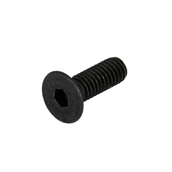 Bosch - Kabelschutzbefestigungsschrauben. Zylinderschraube Torx M4x10