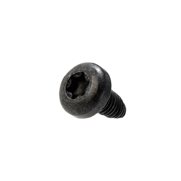 Bosch - Schraube für Montageplatte ConnecModule - Smart System - M4x12, Torx T20