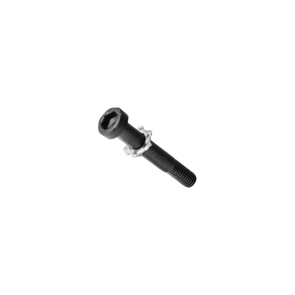 Bosch - Schraube für Montageplatte Intuvia 100 - 1 Schraube M3 ћ 22 - 1 gewellte Federscheibe