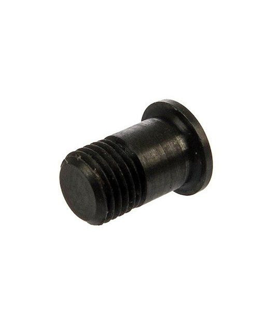 Inserto Fulcrum nipplo attira magnete (RACING 1,RACING ZERO,RED METAL ZERO,RED CARBON,RED METAL 1)