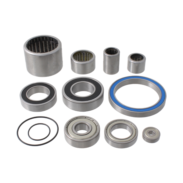 Wag - KIT REVISIONE MOTORE BOSCH GEN2 PERFORMANCE/PERFORMANCE CX - COMPLETO
