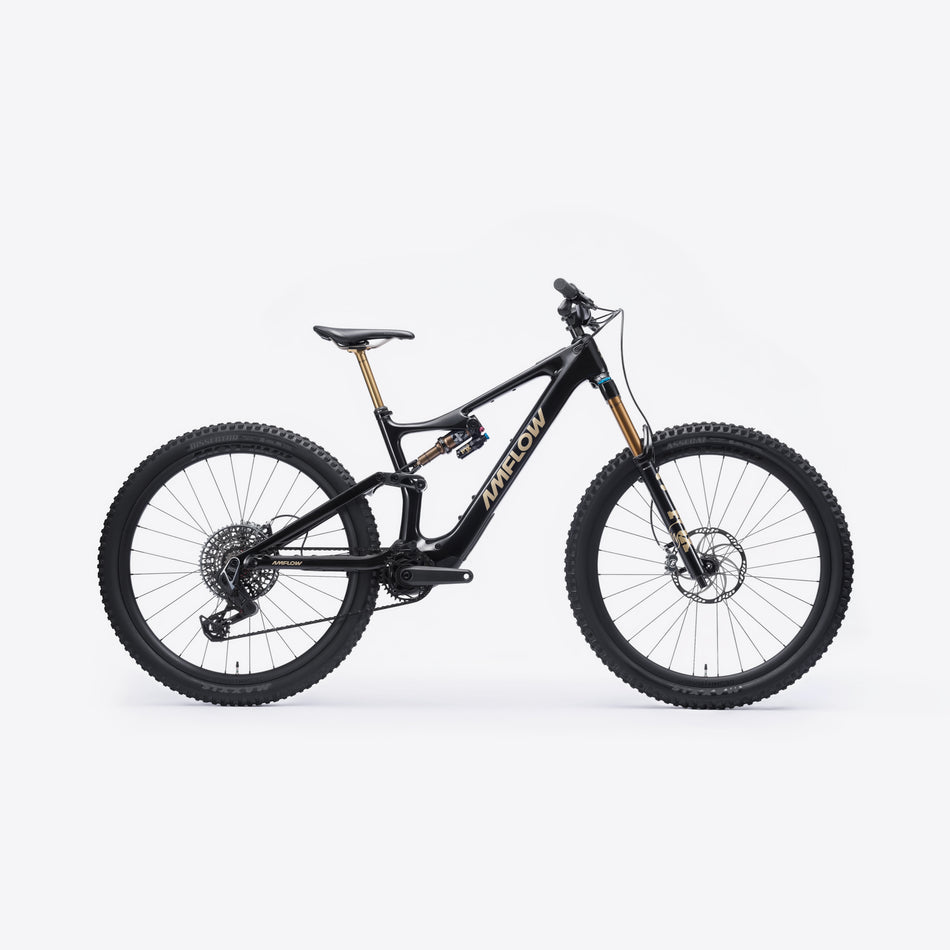 Amflow PL Carbon Pro (800Wh) - DEMO TEST - Size L - 513km