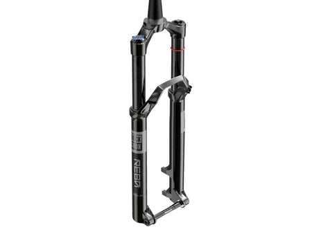 Forcella RockShox Reba Gold Isolator 2P