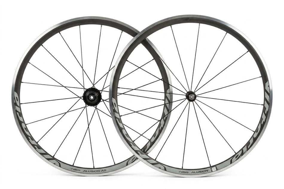 Ruedas Rim Vittoria Alusion